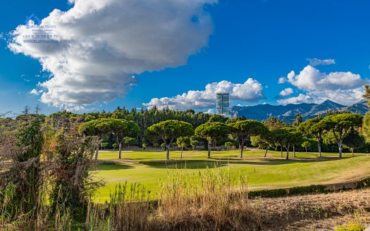 Palm Beach Lägenhet